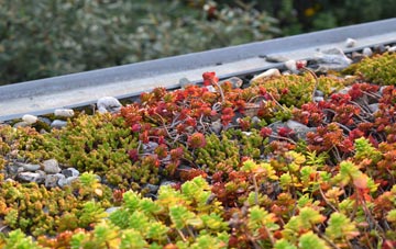 the cost of Cumwhitton green roof installation