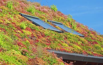 Cumwhitton living roof systems