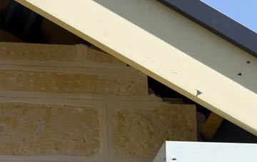 soffit repair Cumwhitton